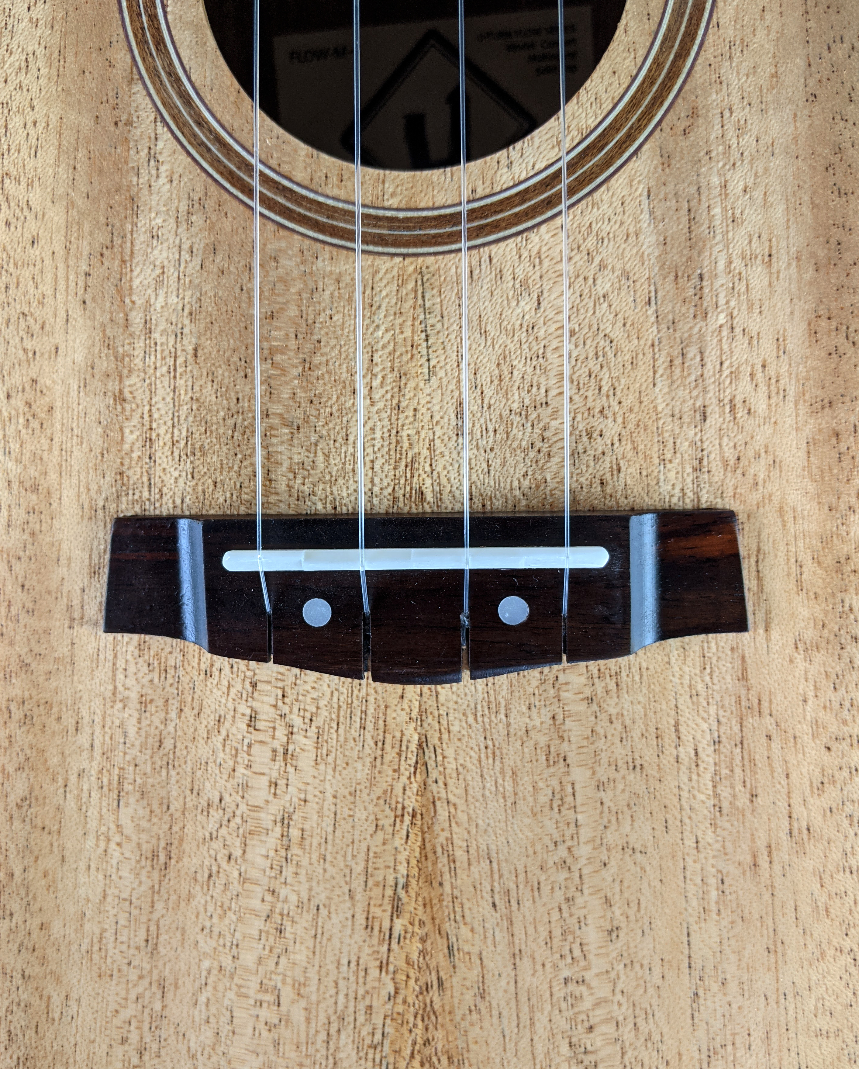 U-Turn Flow Concert Ukulele - solid top & EQ 