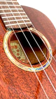 aNueNue AMM3 Tenor Ukulele