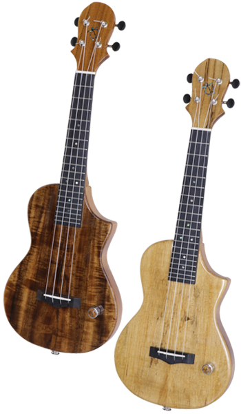 Big Island Ukulele EU ACA N 