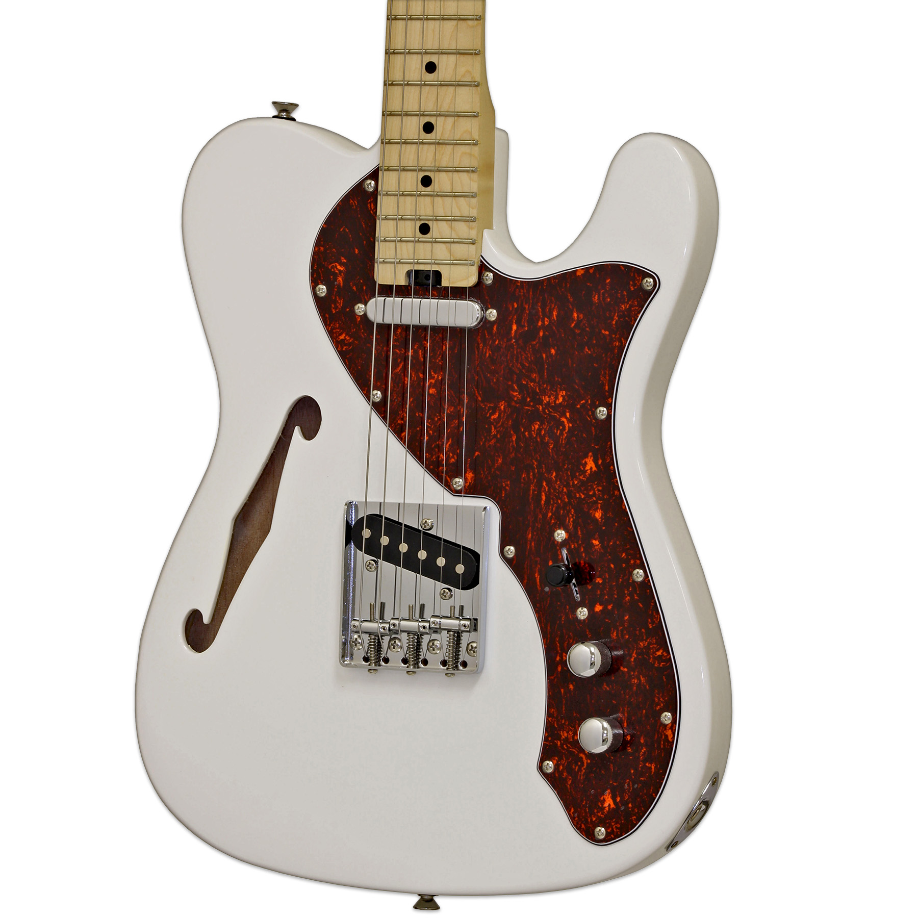 Aria TEG Thinline Telecaster, tortoise white