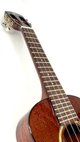 aNueNue AMM2 Konzert Ukulele