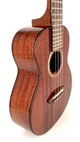 aNueNue AMM2 Konzert Ukulele