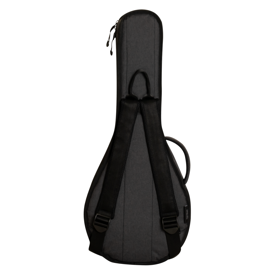 Ritter Gigbag Davos A/F Mandoline - ANT