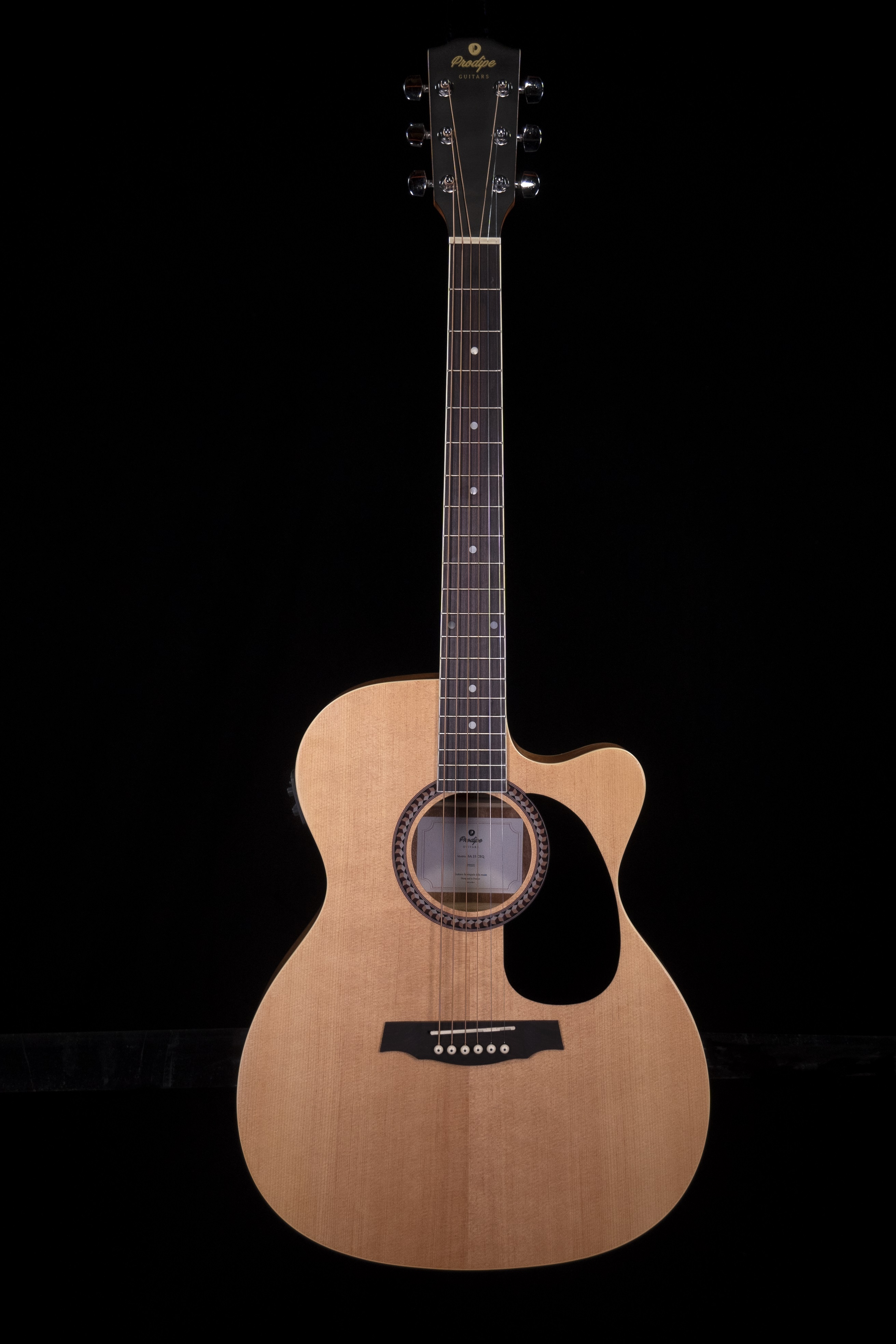 Prodipe Guitars SA25 CEQ