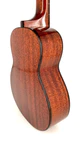 aNueNue AMM2 Konzert Ukulele