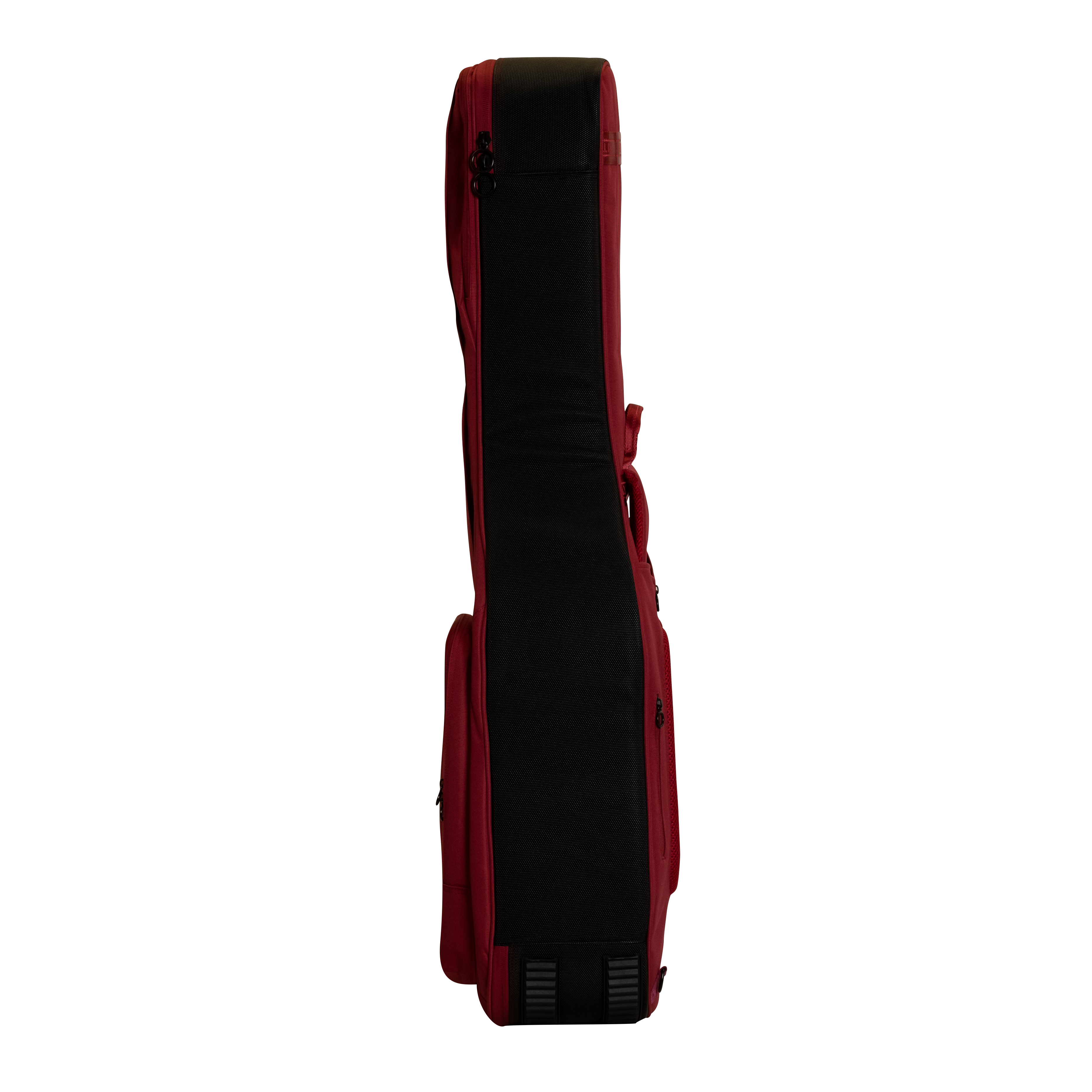 Ritter Gigbag Arosa Dreadnought - SRD