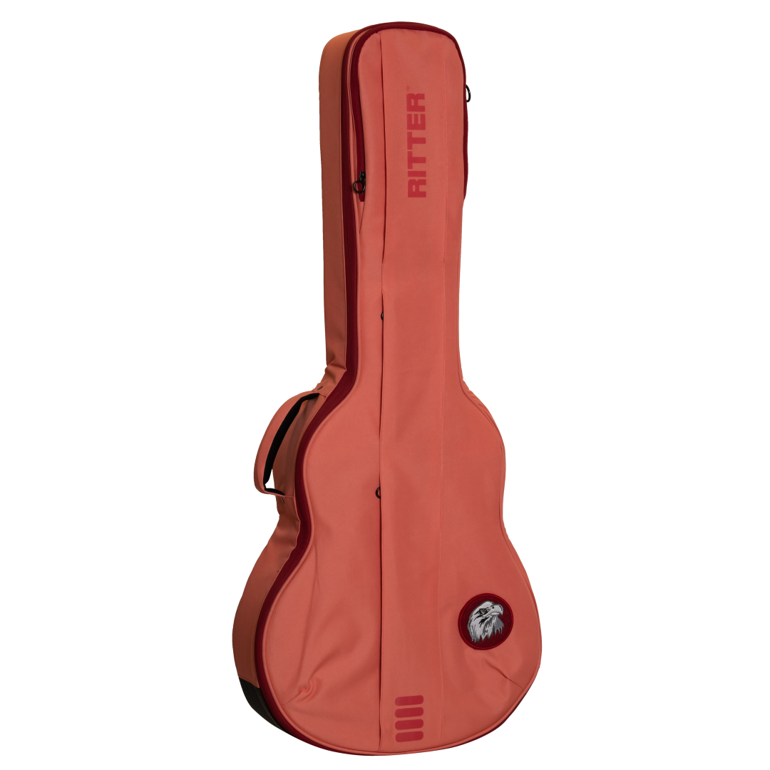 Ritter Gigbag Bern 335 Guitar - FRO