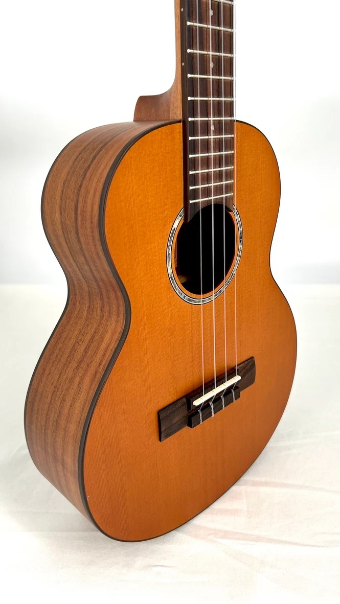 aNueNue T4 Tenor Ukulele  