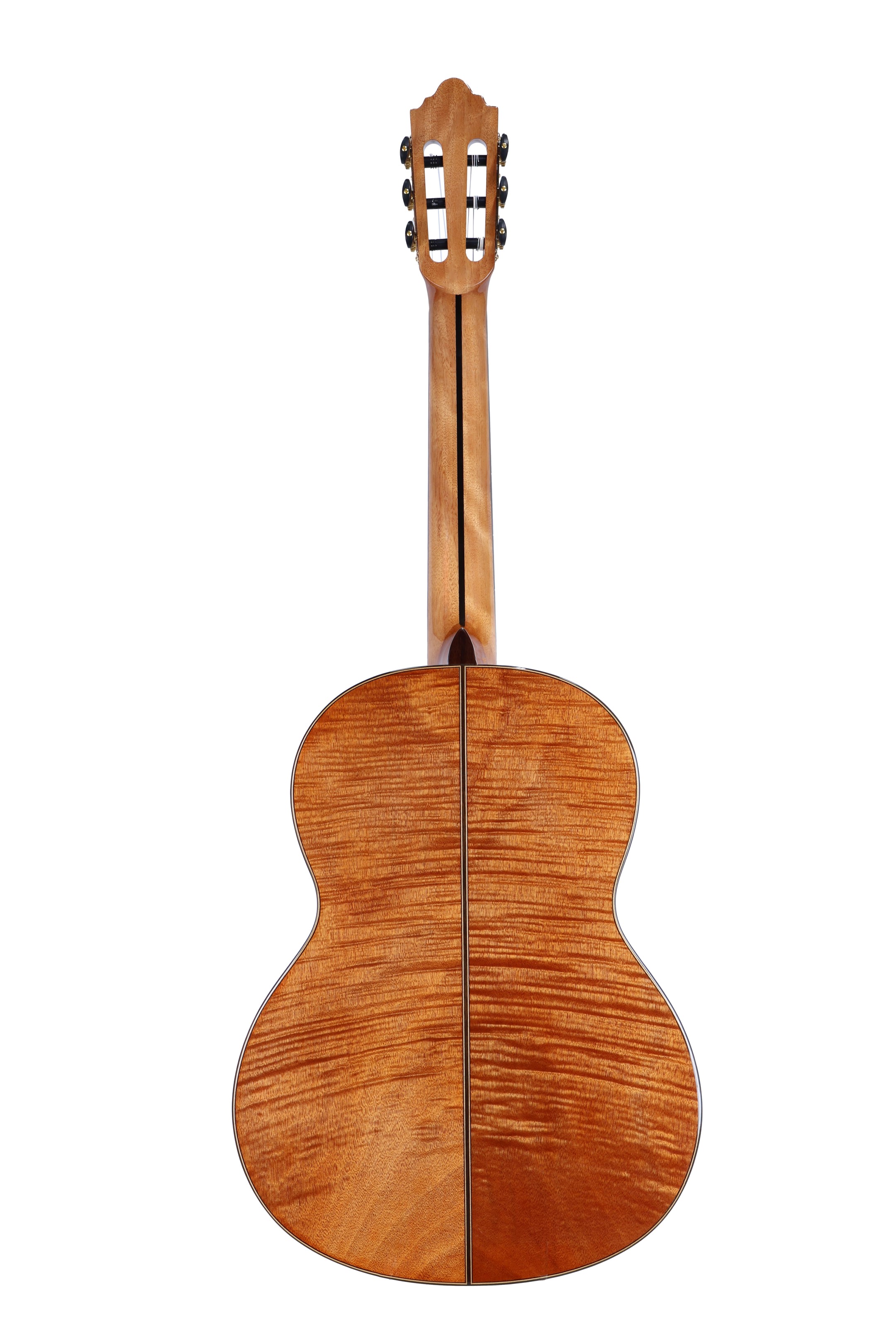 Contigo Konzertgitarre, hochglanz - Karin Rost Rosette, C-H-203F-KR-LTD