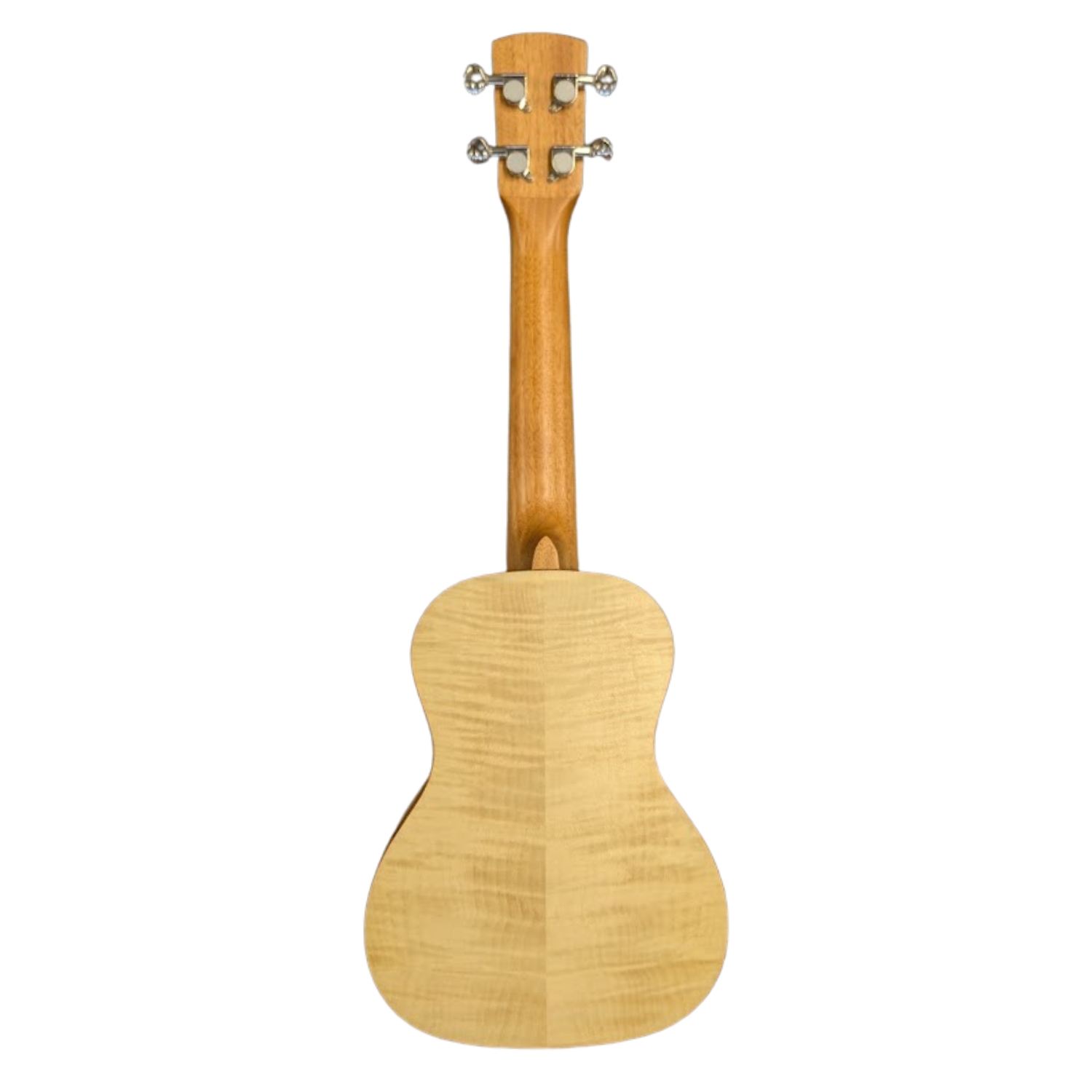Shape Konzertukulele W38, Spruce Flamed Maple